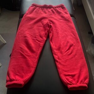 Aritzia TNA Red Joggers